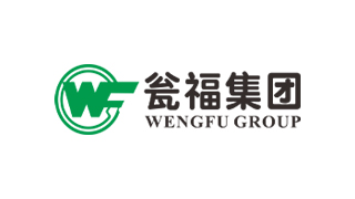Đội Wengfu