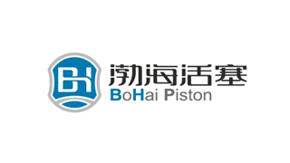 Ống Piston